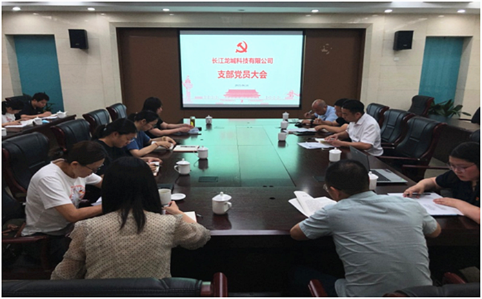 科教城投控集團(tuán)長江龍城公司黨支部組織開展“崇尚英雄、學(xué)習(xí)英雄、關(guān)愛英雄” 黨史學(xué)習(xí)教育主題活動